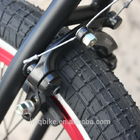 Giriş Seviyesi BMX Freestyel Bisikletler