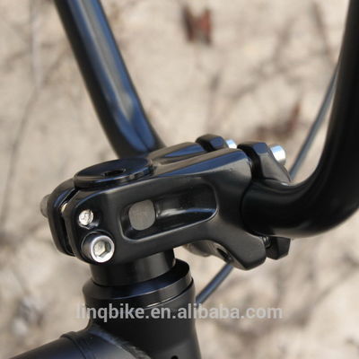 Giriş Seviyesi BMX Freestyel Bisikletler